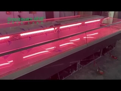 Kasap Dükkanı İçin Paslanmaz Çelik Balık Taze Şarküteri Et Buzdolabı