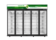 Mağaza Ticari İçecek Soğutucu 5 Cam Kapılı Buzdolabı Dondurucu Fan Soğutma Tipi