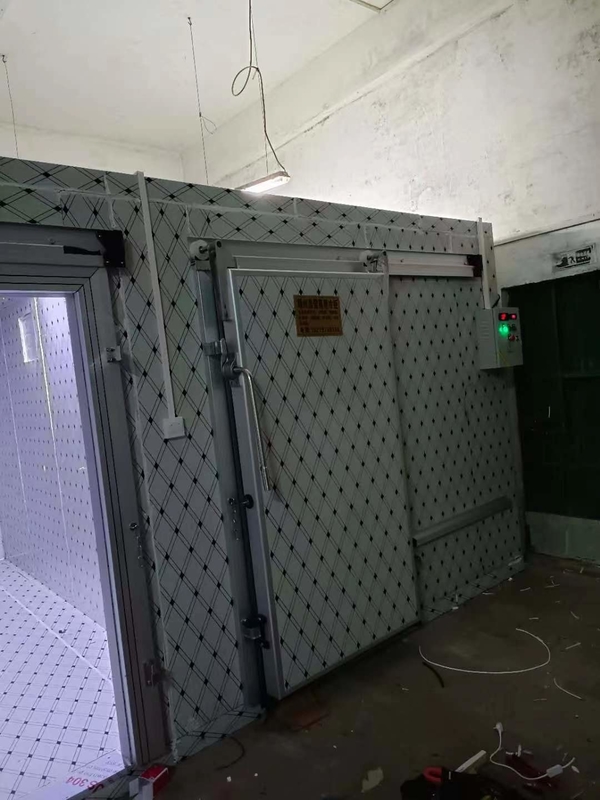 Otomatik kontrol sistemi ile balık ve et dondurma için özel soğuk depolama odası