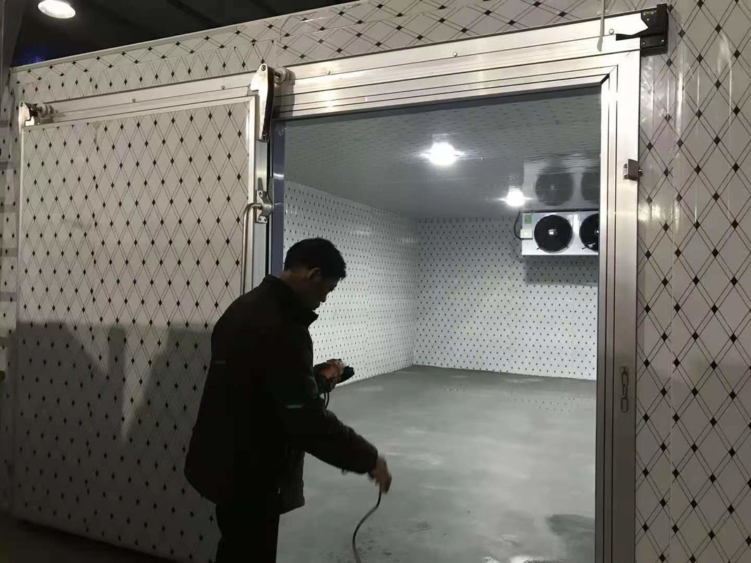 Otomatik kontrol sistemi ile balık ve et dondurma için özel soğuk depolama odası