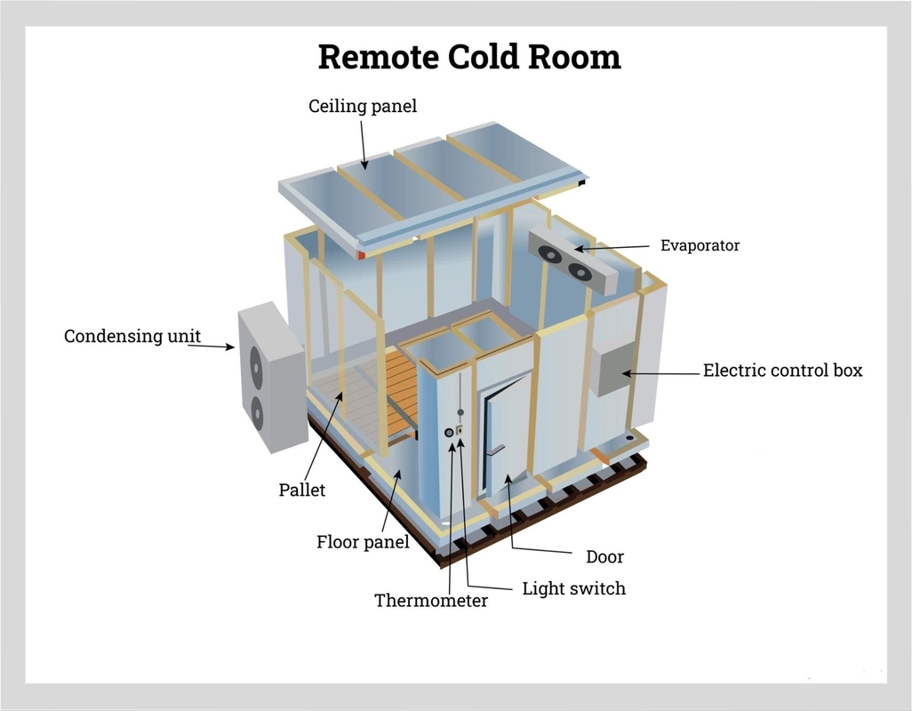 Soğuk depolama odası Walk-In's Cooler Walk-In buzdolabı soğutma sistemi ile