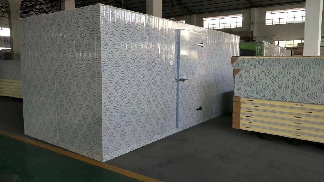 Özel Walk-In Buzdolabı Soğuk Oda Meyve Sebze Depolama Odası