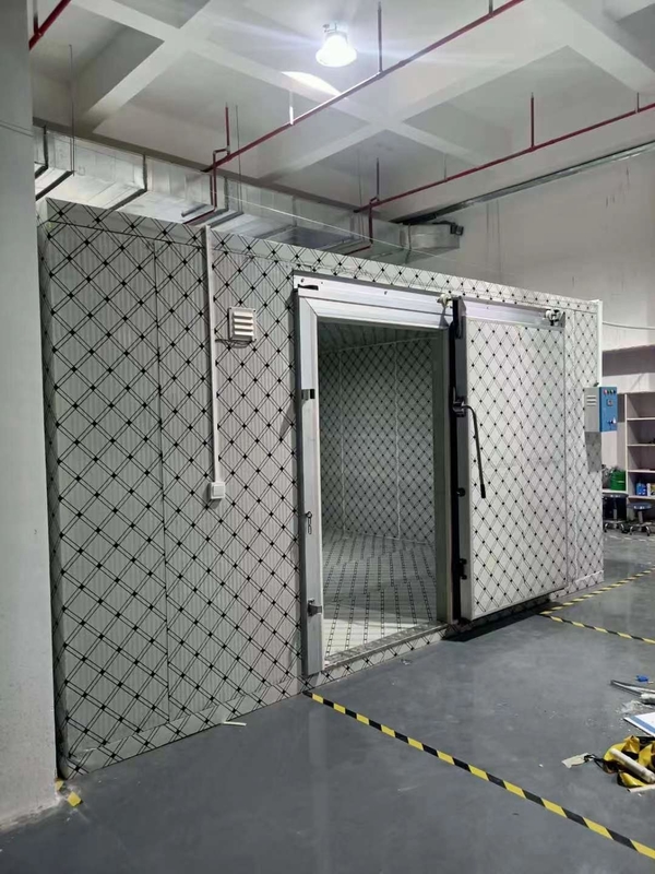 Dijital Elektronik Sıcaklık Kontrolü Sebze Meyve Et ve Balık için soğuk depolama odası özelleştirilebilir
