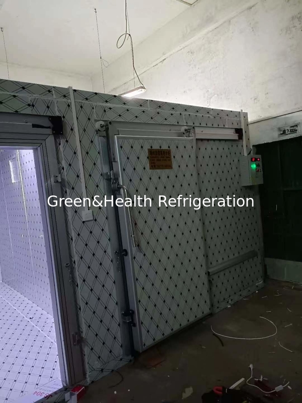 Soğuk Zincir Depolama Çözümleri Düşük Gürültü İçeri Giden Dondurucu Yüksek Kapasiteli Dondurucu Oda