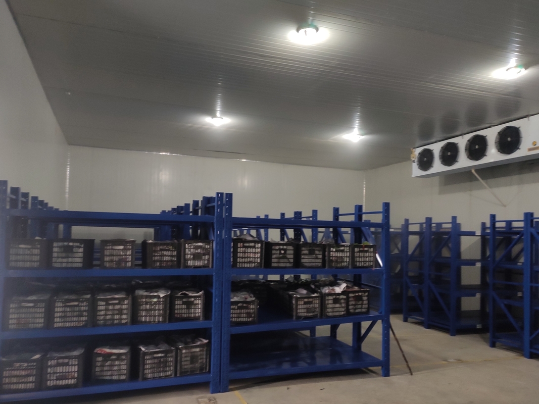 Küçük Boyutlu Soğuk Depolama Odası Soğutma Birimi Fiyat Et ve Deniz Ürünleri için Soğuk Depolama Odası