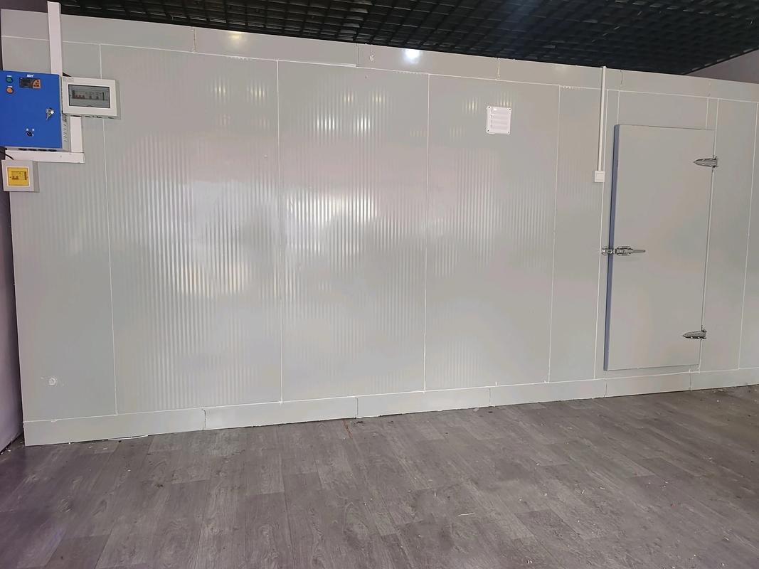 Ticari Soğuk Oda Dondurucu PU Yalıtımlı Panel Salıncak Kapı Hızlı Kurulum Deniz Ürünleri