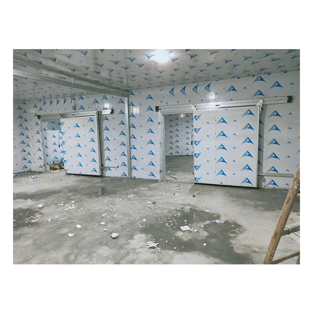 Fabrika Özel Süpermarket Büyük Gıda Dondurma ve Soğutma Depolama Soğuk Depolama