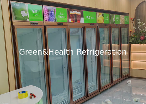Süpermarket Cam Kapı Dik Ekran Buzdolabı İçecek Buzdolabı 452L