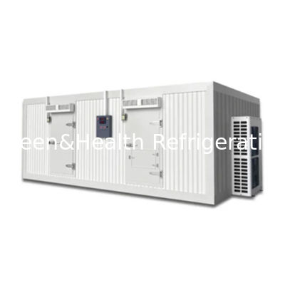 Yüksek performanslı PU panelleri olan enerji tasarruflu soğuk depolama odası