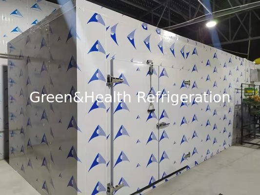 Yüksek Performanslı PU Panelleri İçin Enerji Tasarruflu Soğuk Oda