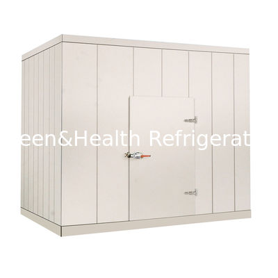 Sebze Et Deniz Ürünleri İçin Chiller Odasında 220V / 380V Ticari Yürüyüşü